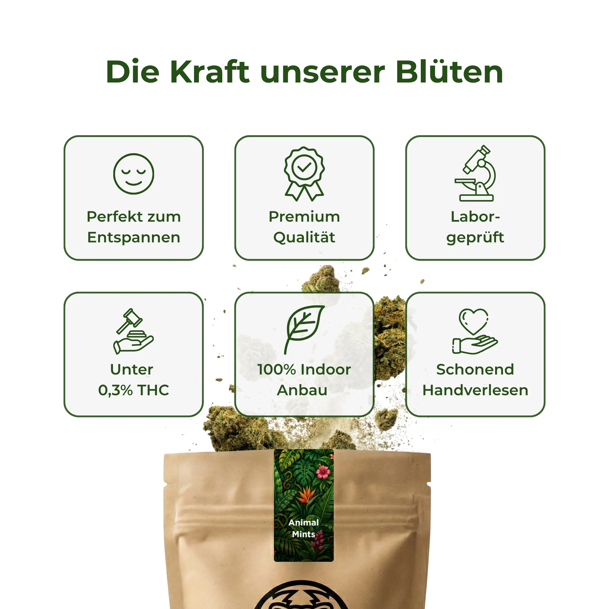 Vorschaubild 4