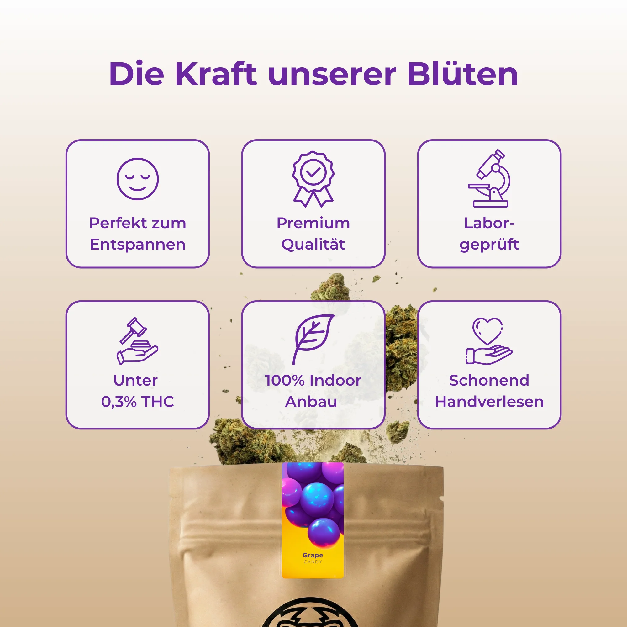 Vorschaubild 4