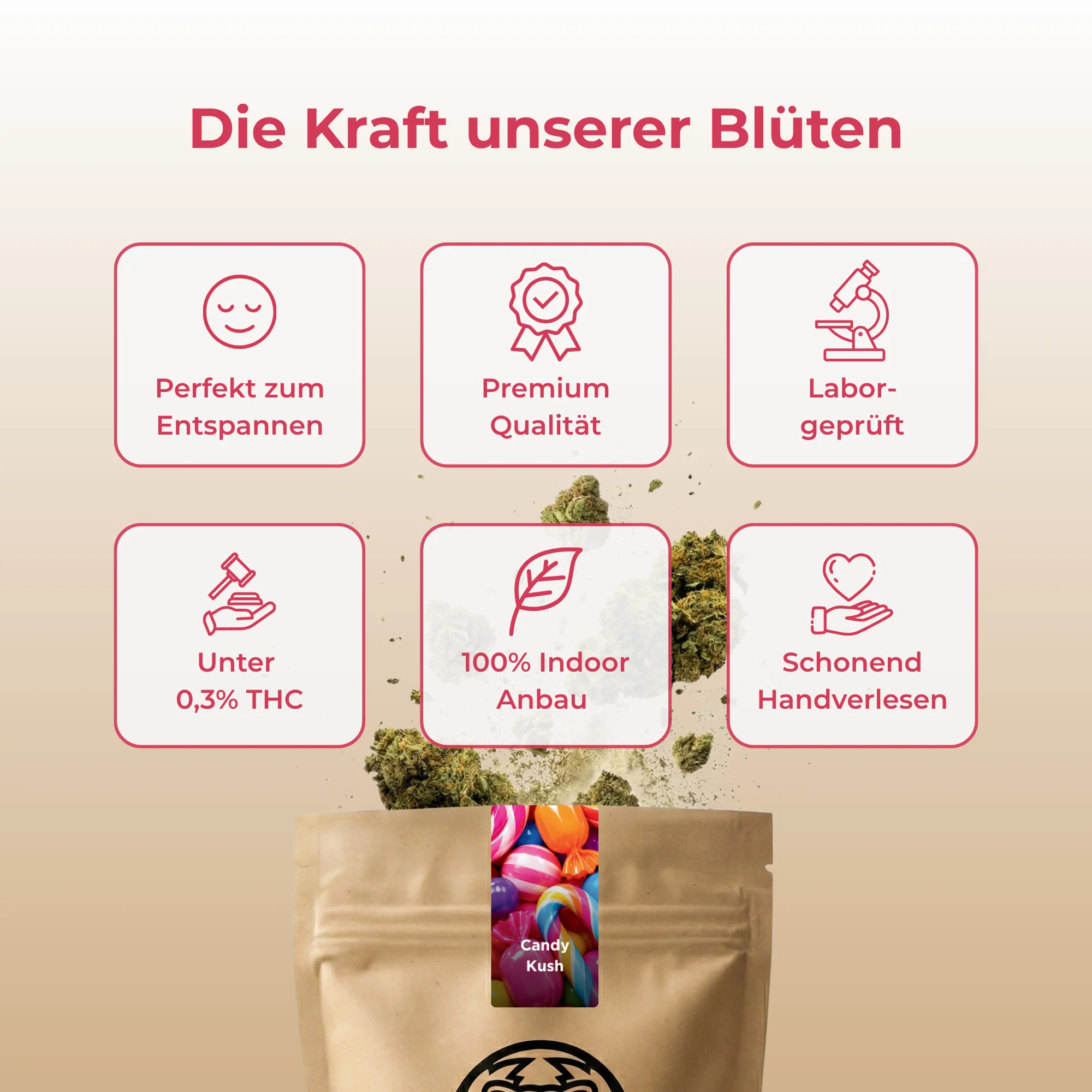 Vorschaubild 4