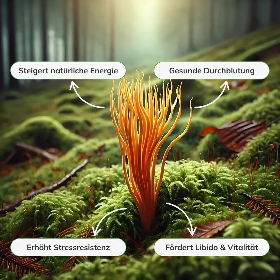 Vorschaubild 6