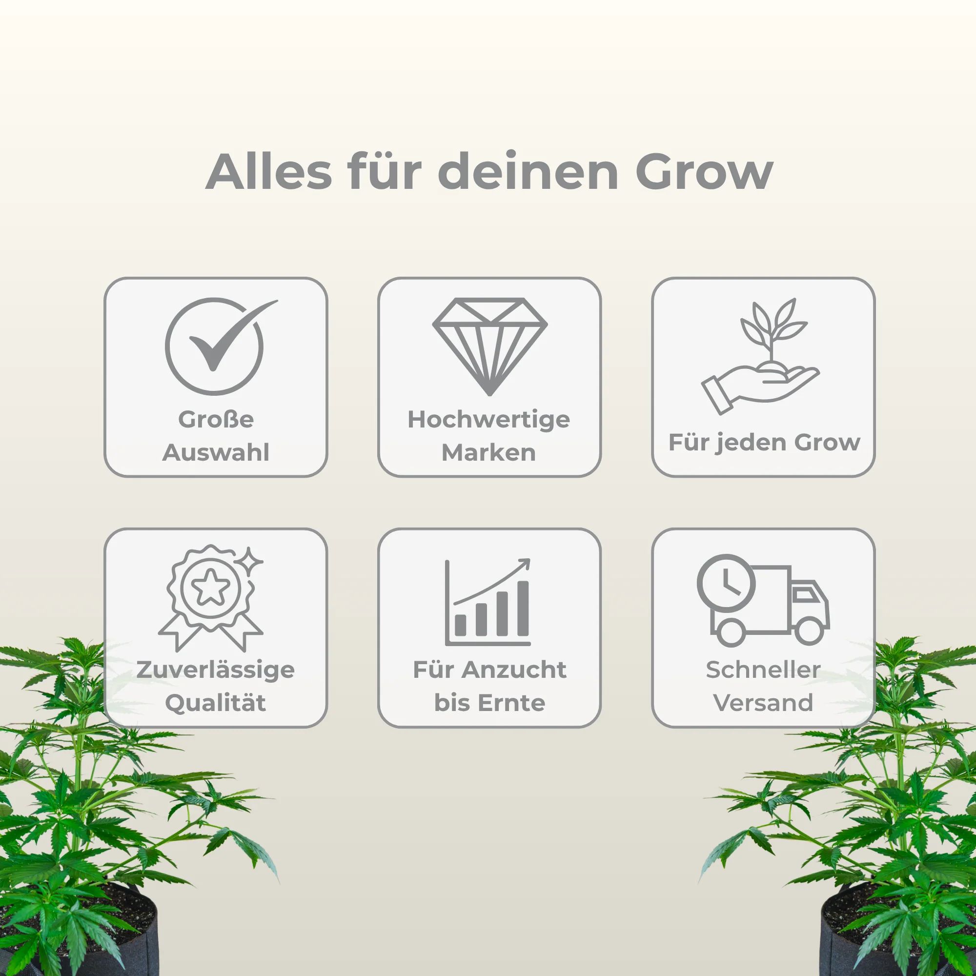 Vorschaubild 7