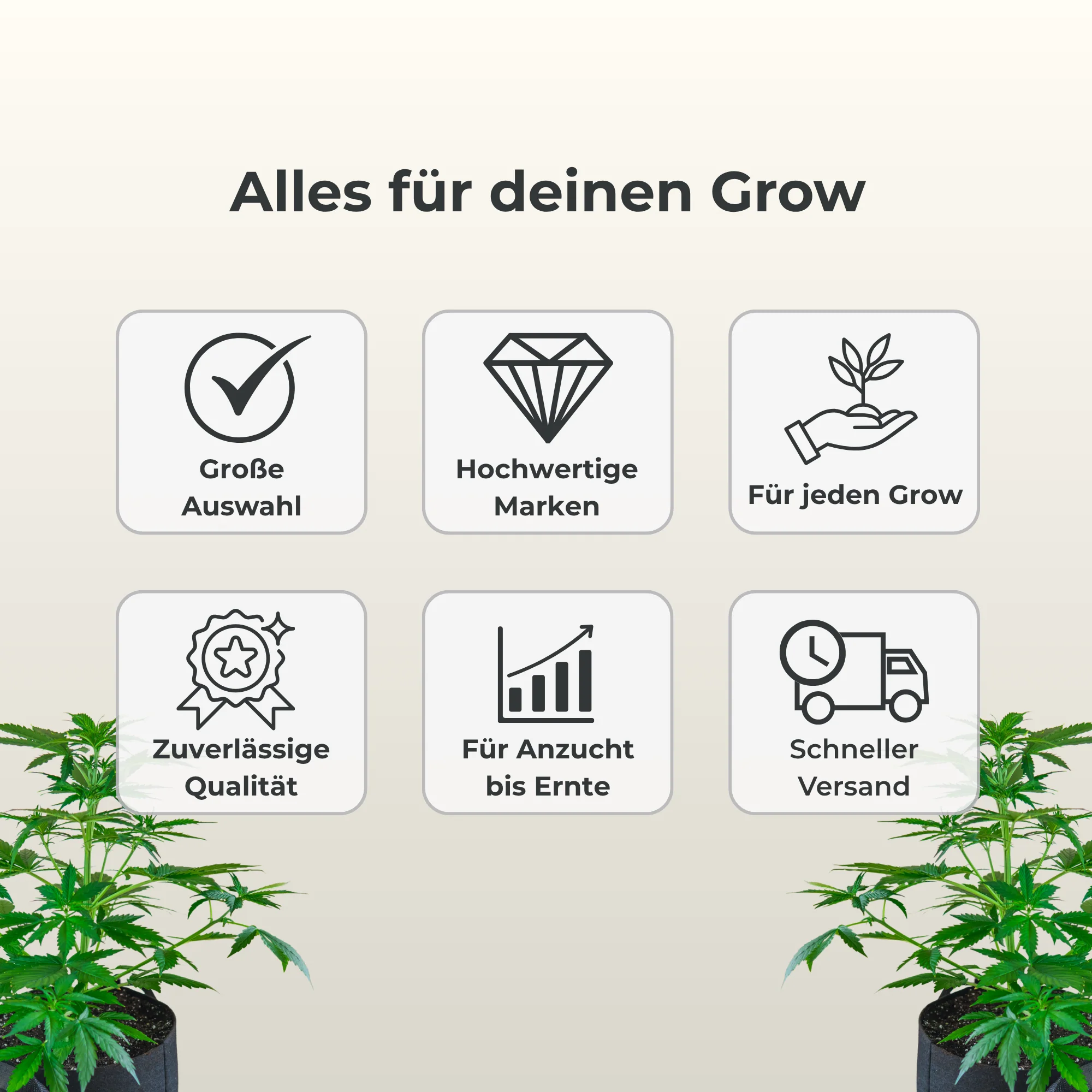 Vorschaubild 13