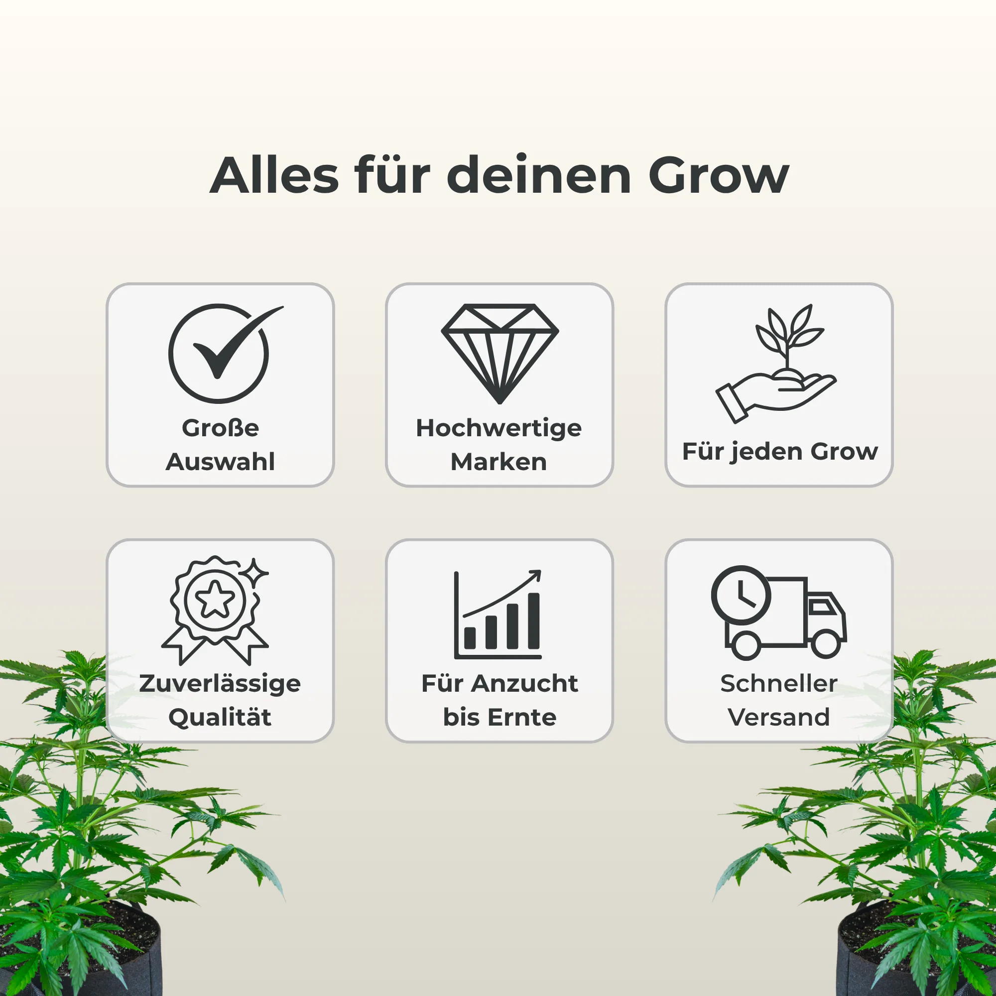 Vorschaubild 13