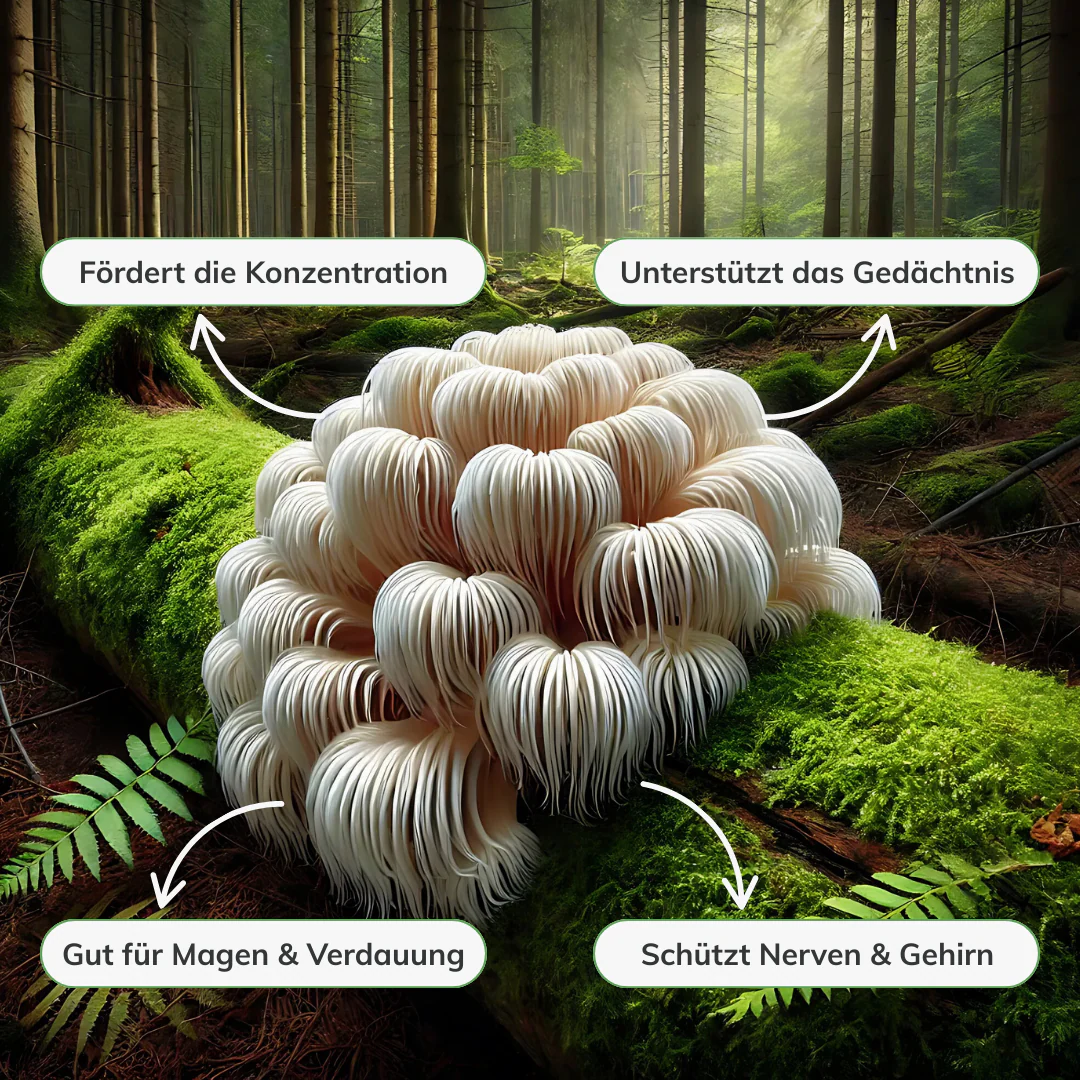Vorschaubild 6