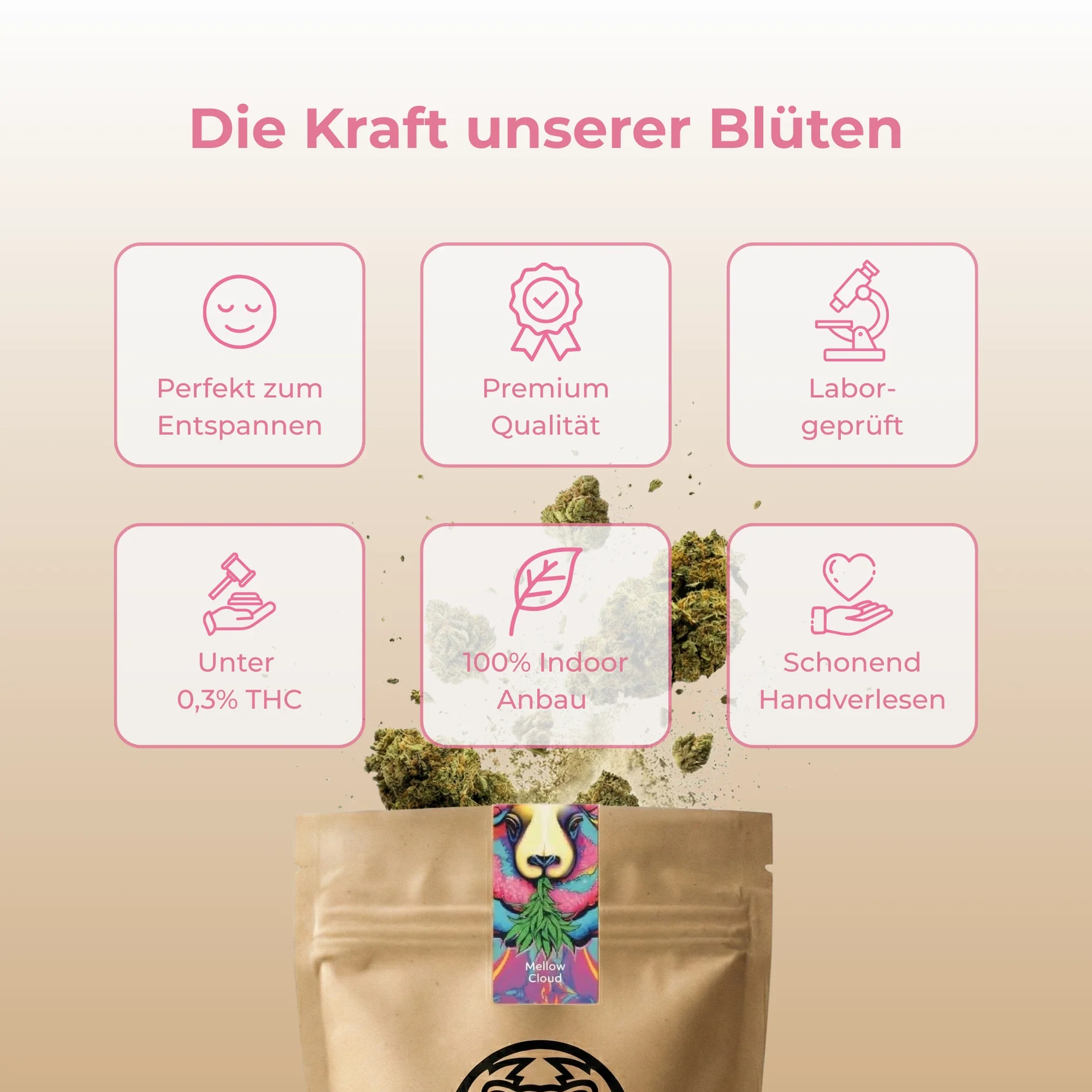 Vorschaubild 4
